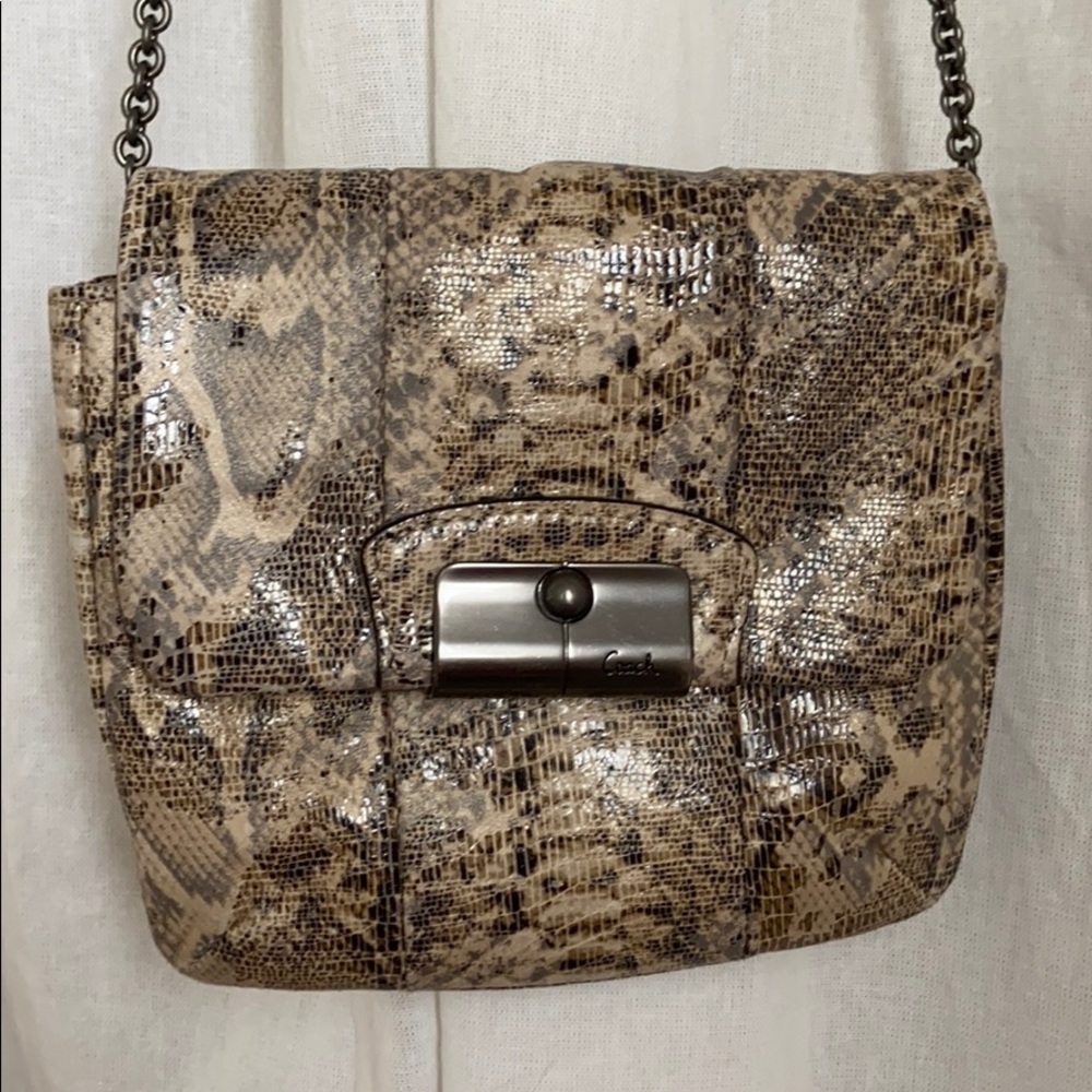 Coach Snakeskin Purse